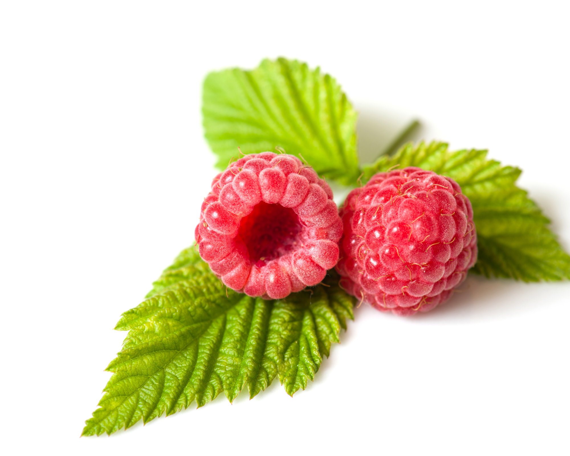 Framboise - Keto